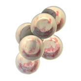 6 assiettes vues d’orient Roses Shabby