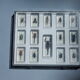 Coffret d'insectes véritables en taxidermie inclusion dans blocs de résine
