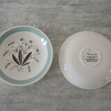 4 Old Cups & Saucers ALFRED MEAKIN England – Hedgerow