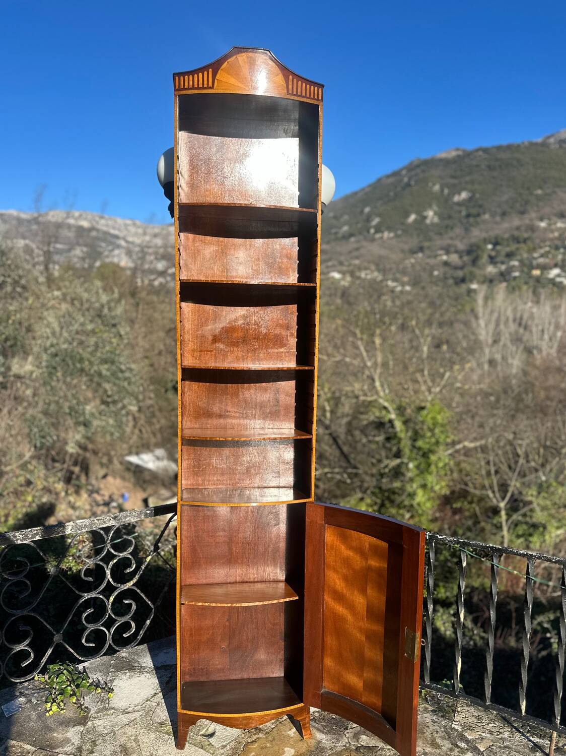 Flamed Mahogany Library in Regency style.