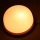 Wood and opaline wall/ceiling light