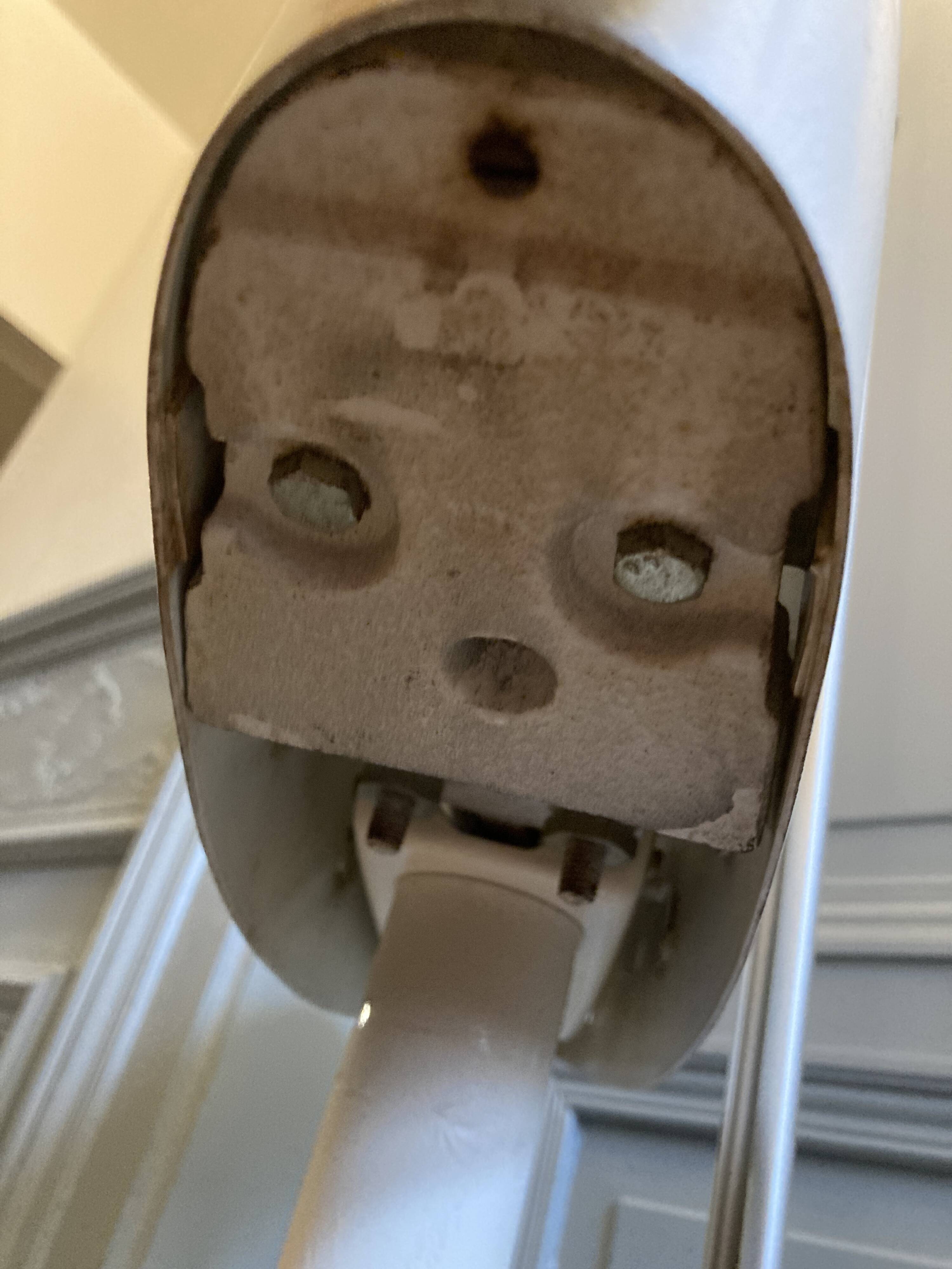 Personal scale and medicine measuring rod