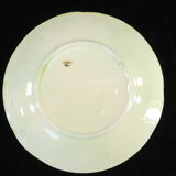 Plate in slurry with strawberry decoration and strawberry leaf