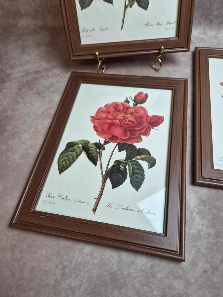 Lot de 3 cadres botaniques P.j. Redouté – Roses & tulipe