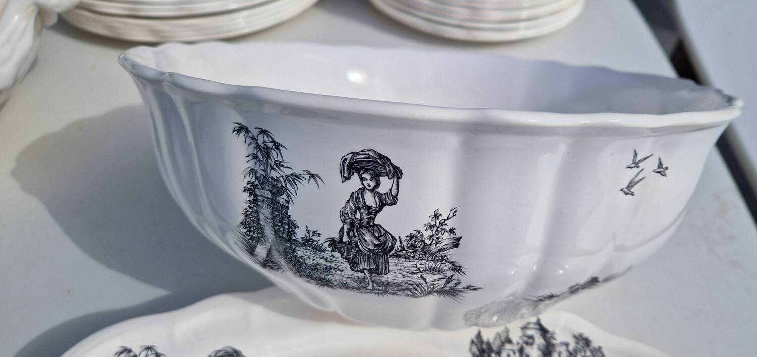 Salins earthenware table service model Chantal, 55 pieces.