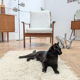 Vintage reupholstered Scandinavian armchair