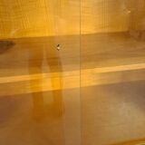 Design Mezulanik showcase with shelves