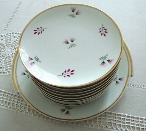 Set 12 plates and 1 porcelain dessert dish