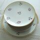 Set 12 plates and 1 porcelain dessert dish