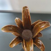 Ceramics