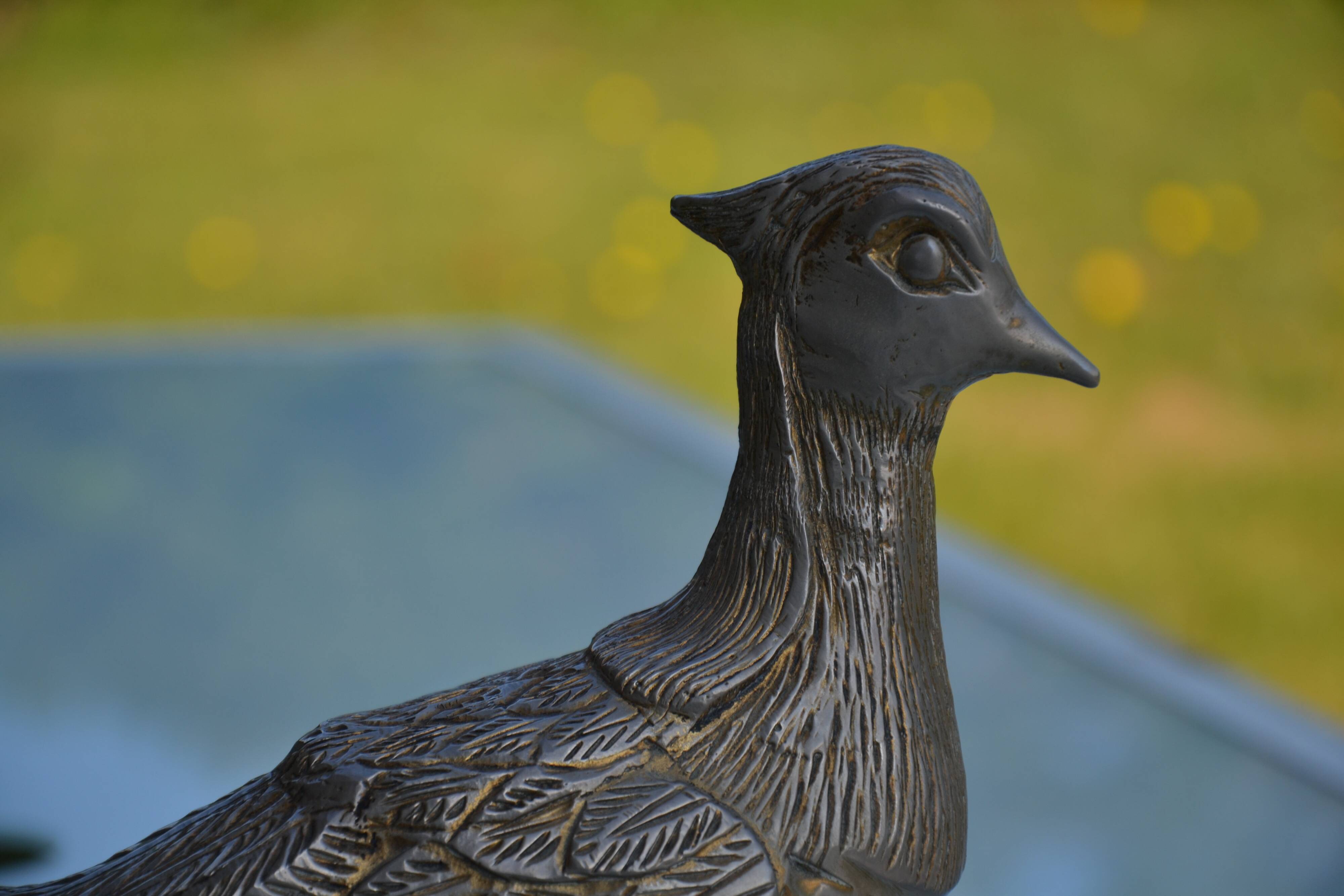 Brass peacock sculpture