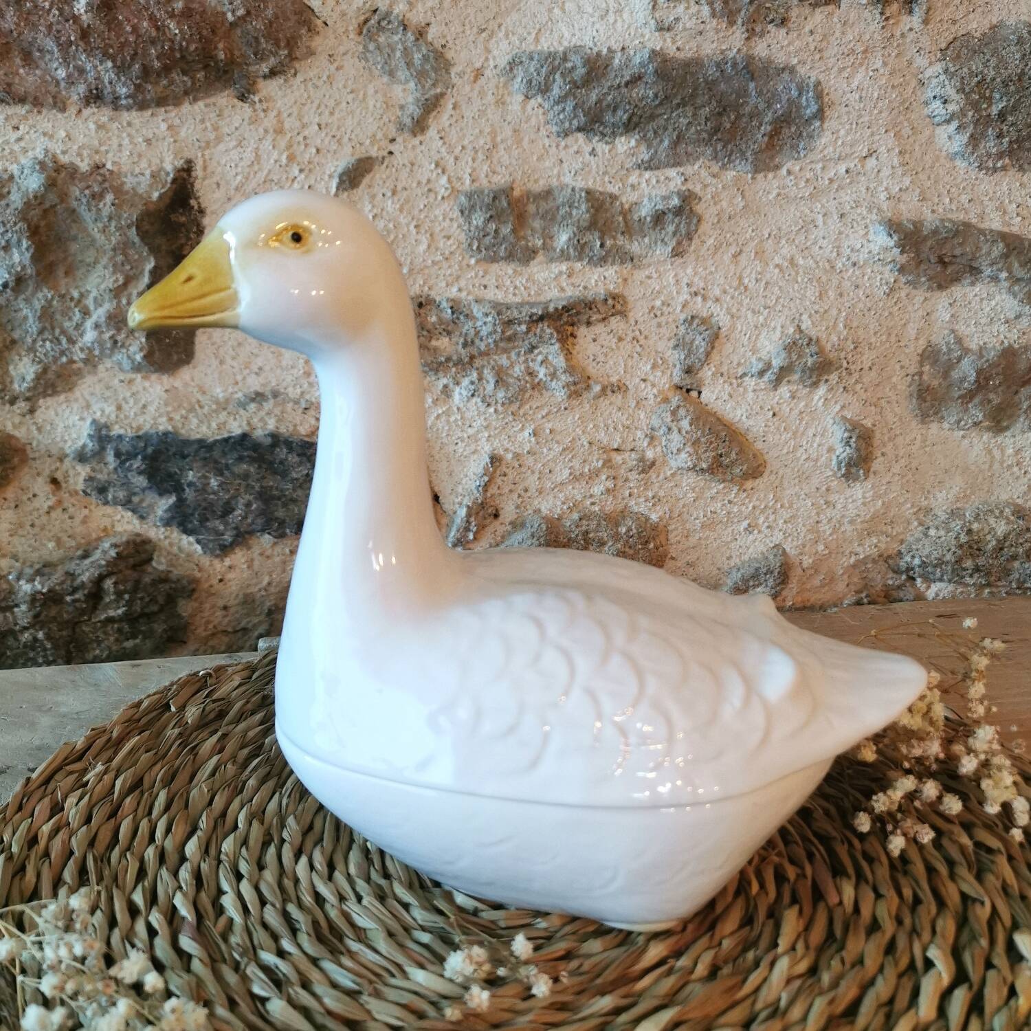 Barbotine Terrine White Goose Michel Caugant