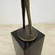Corry van Ammerlaan for Artihove sculpture