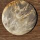 Petrified wood catchall, circular dish or plate in light beige D25 -3