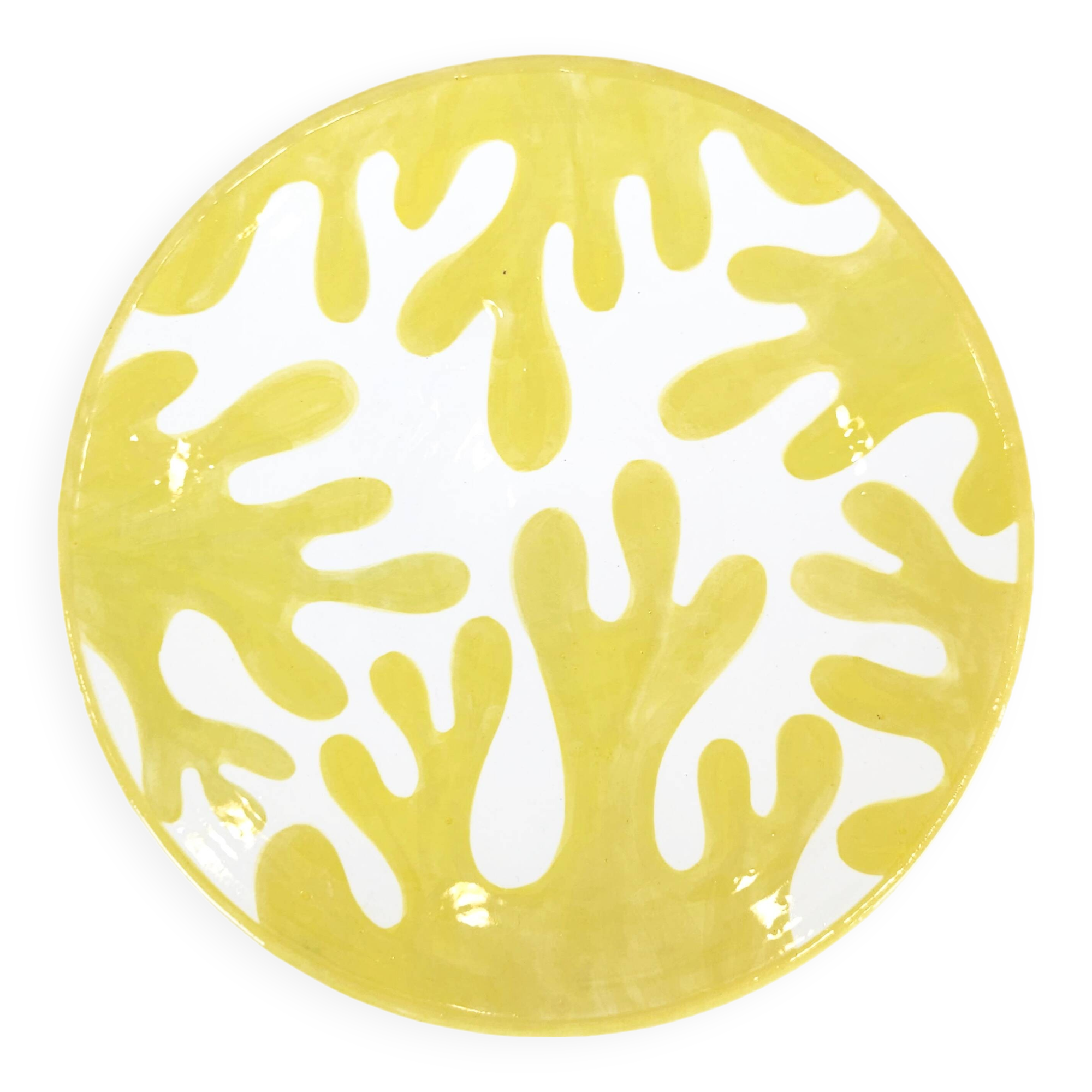 Large plate - Yellow Cineraria