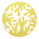Large plate - Yellow Cineraria