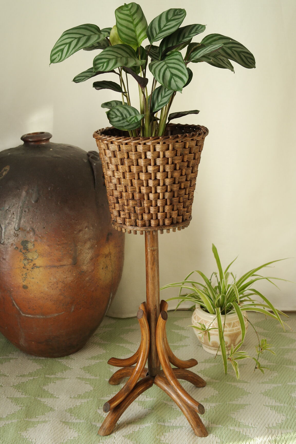 Sole-on-foot door in vintage braided reeded curved wood