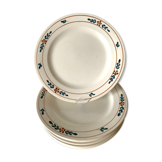 7 earthenware plates