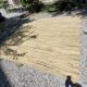 Vintage woven wool rug