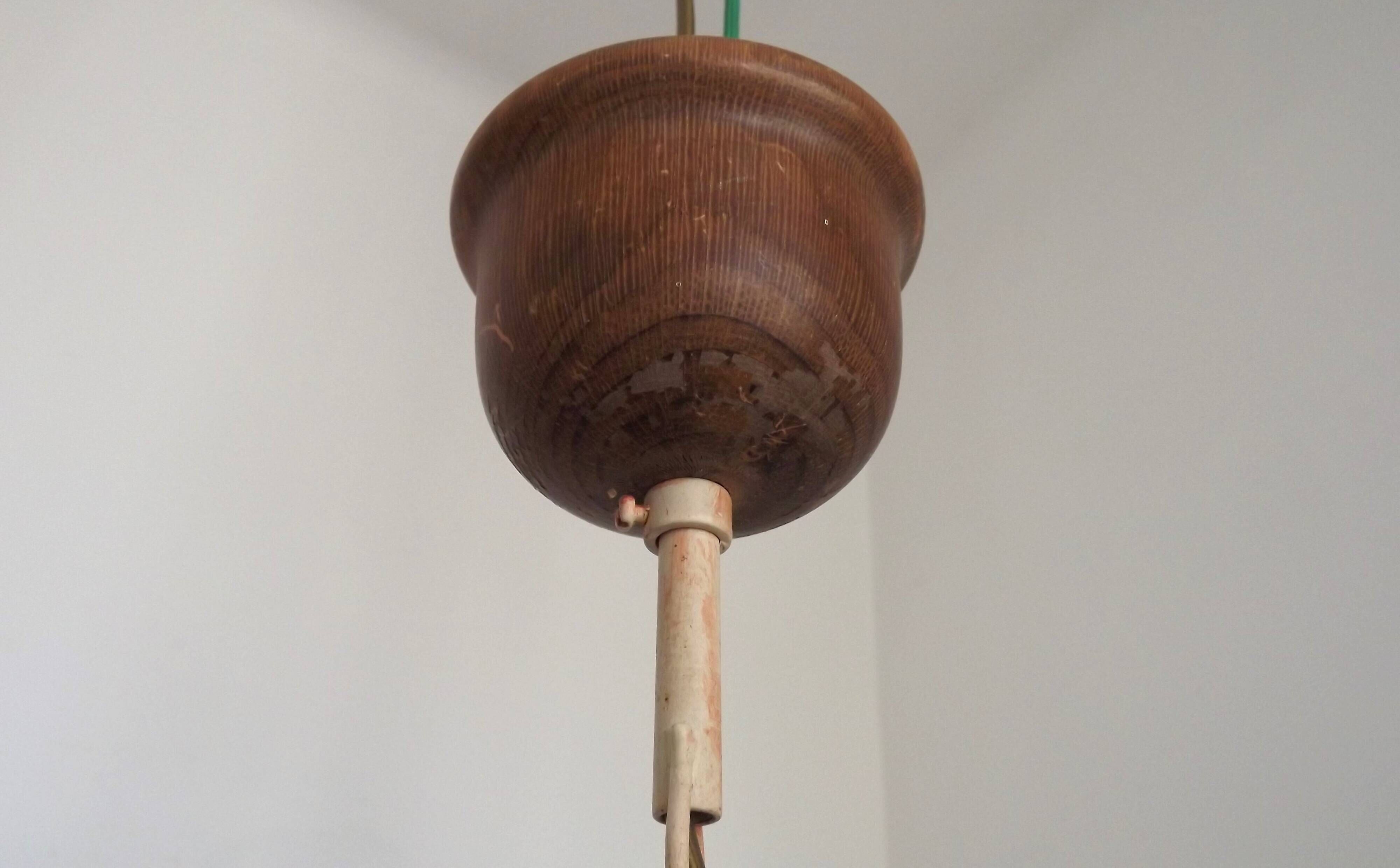 French Vintage Leaf Metal and Wood Hanging Light Textured Glass Shade