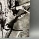 Silver gelatin photograph by Bernard Darot, 20th century study, Nantes Photo Club AFIAP