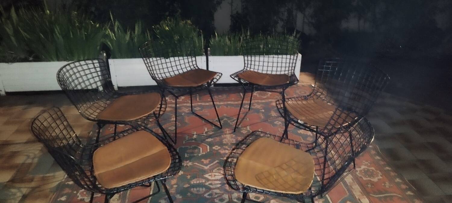 6 chaises Wire Harry Bertoia noires