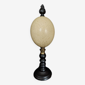 Cabinet of Curiosities struthio camelus ostrich egg on base