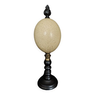 Cabinet of Curiosities struthio camelus ostrich egg on base
