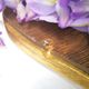 Baroque-style wall mirror / H49 cm x 30 cm /Decor shell and foliage / Golden with gold leaf