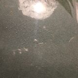 Still life painting with white flowers from the 70s