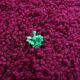 Handmade traditional pure wool rug size 1.5/2.5 m