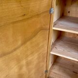 Jam cupboard old pantry