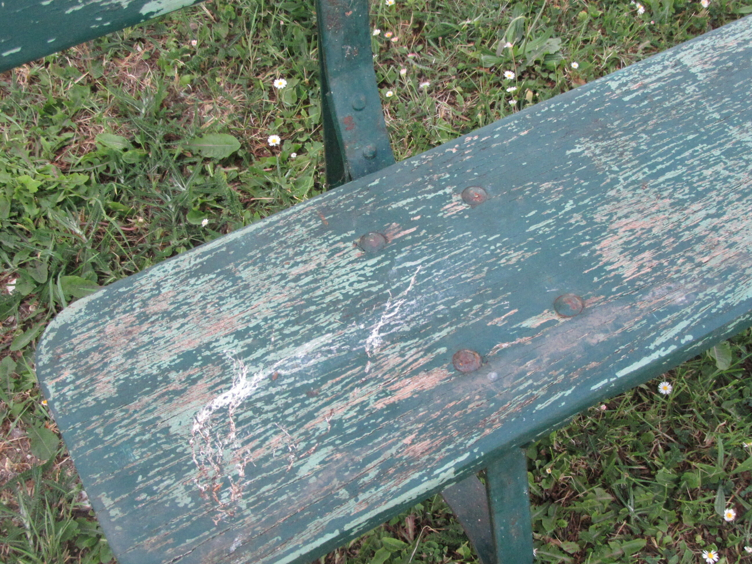 Wood and iron garden bench
