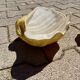 Ceramic shell