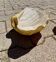 Ceramic shell