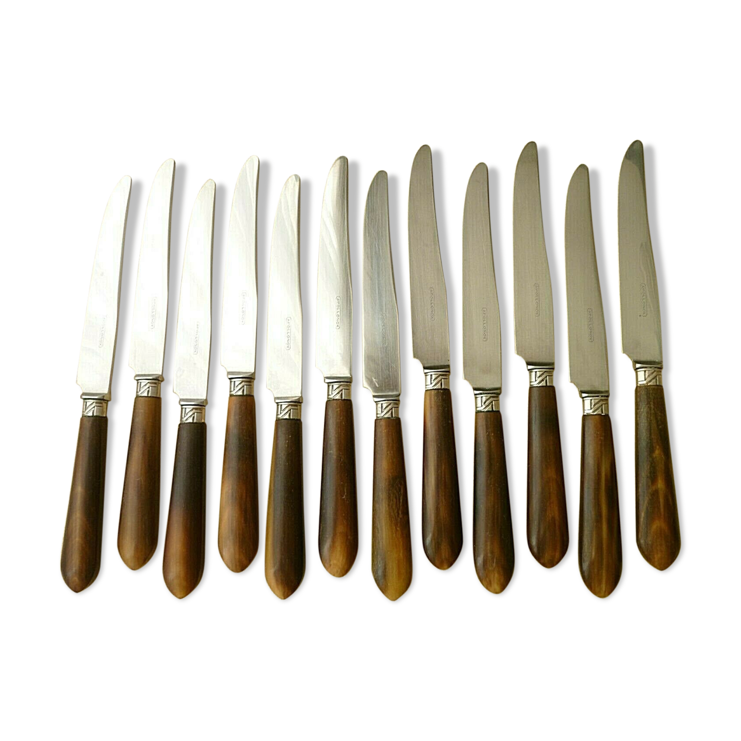 Coffret de 12 jolis couteaux de table Apollonox Corne Bovine et Inox