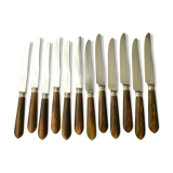 Set of 12 pretty Apollonox Horn bovine and stainless steel table knives