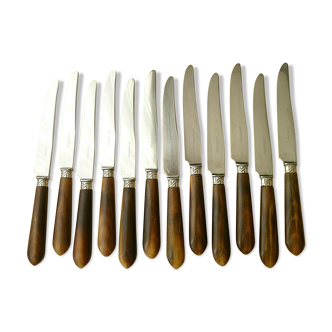 Set of 12 pretty Apollonox Horn bovine and stainless steel table knives