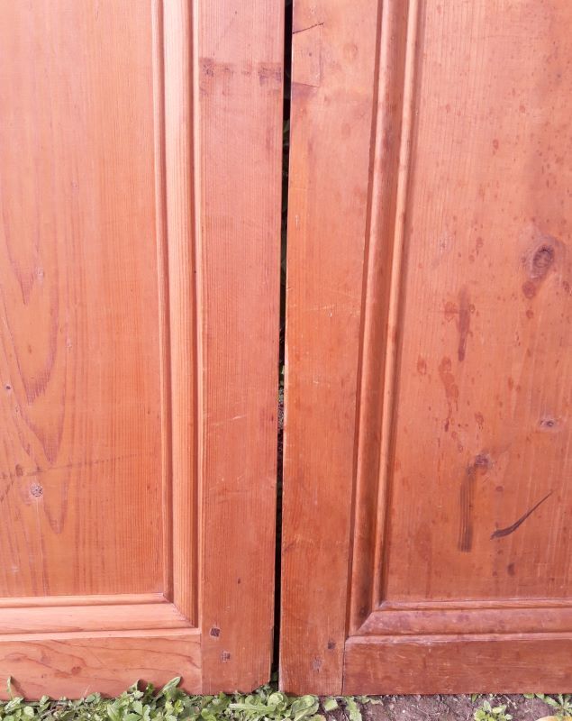 Pair of doors 248x129cm old