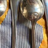 Silver - 12-piece filet cutlery set