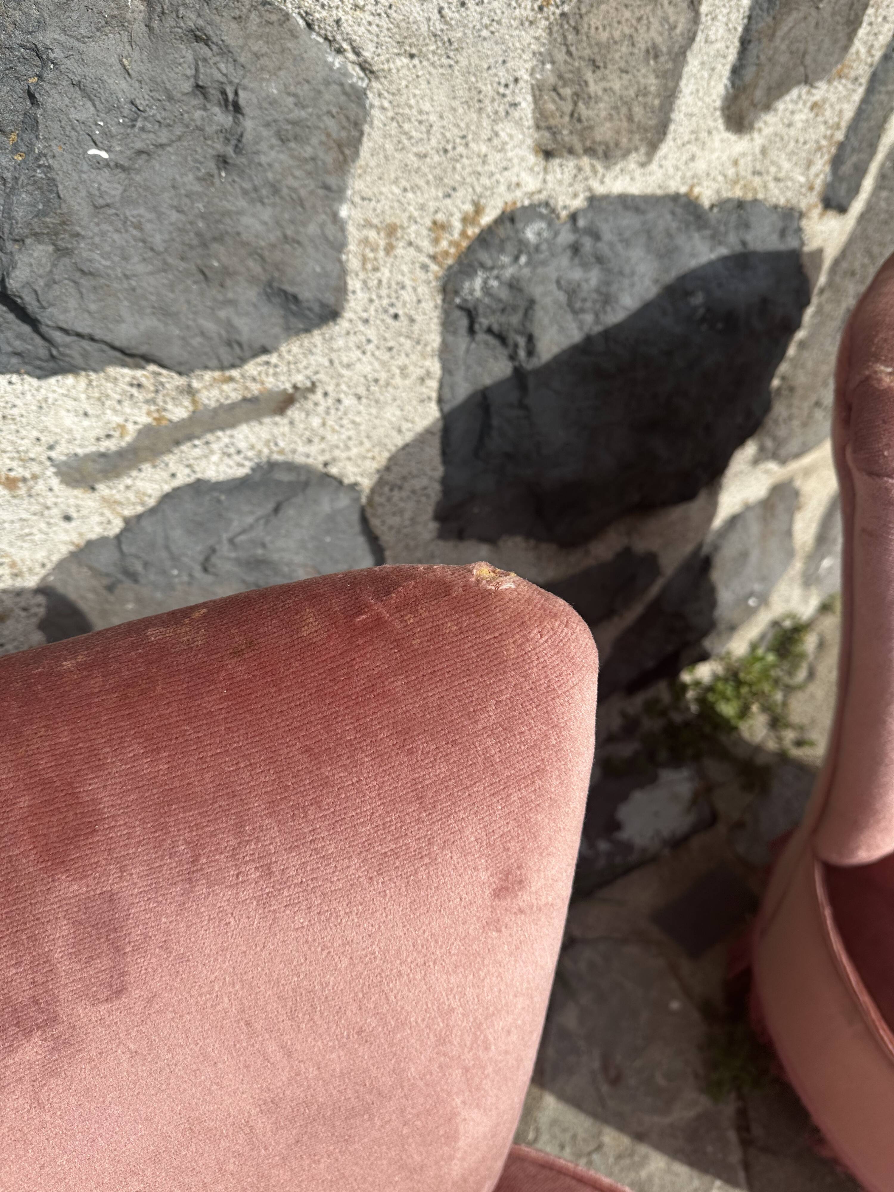 Pair of frog armchairs in pink velvet