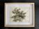 Old watercolour of a tree, signed botanical study, mid-20th century.