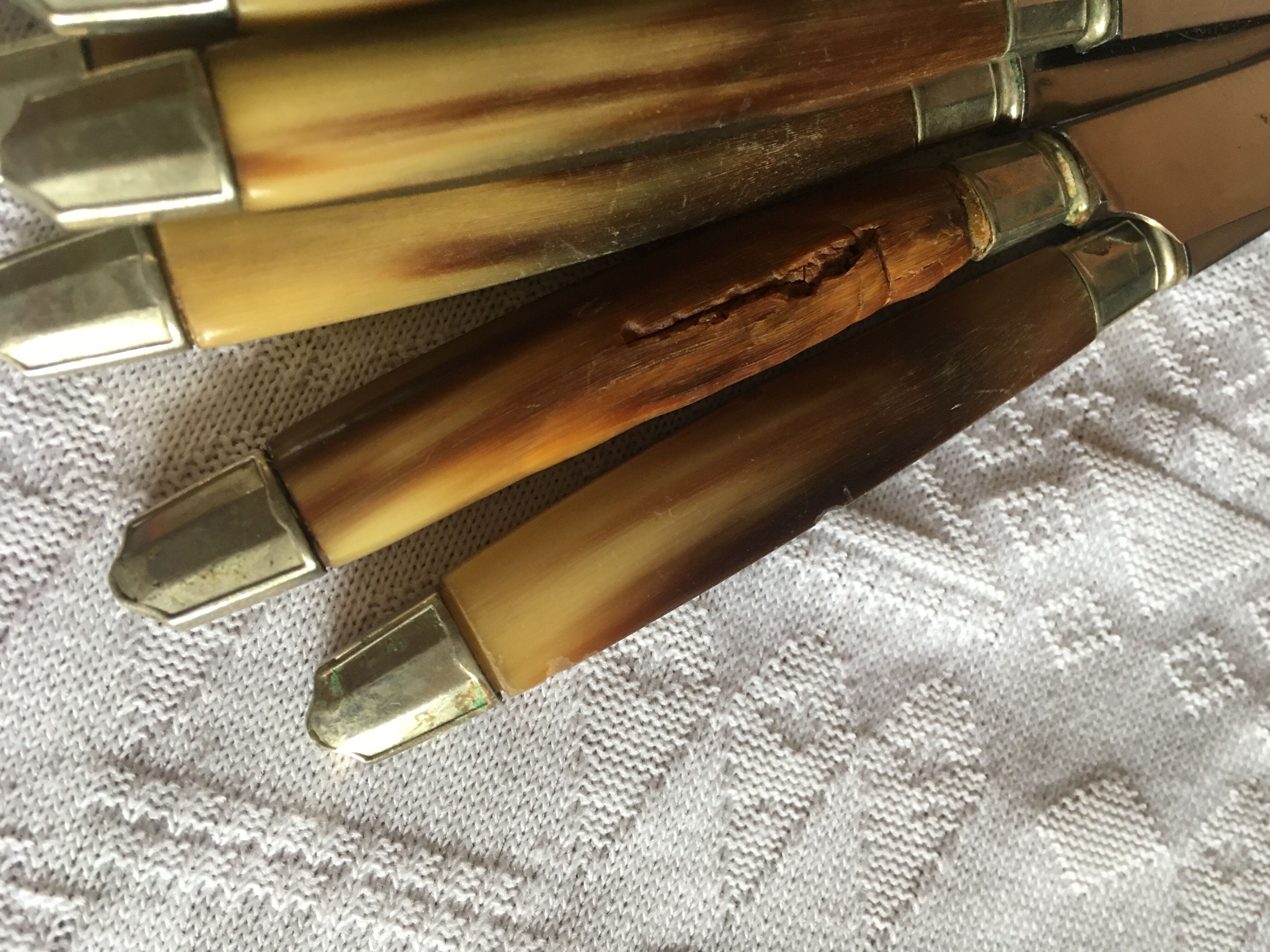 Series of dessert cutlery in stainless steel "with two lions"