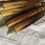 Series of dessert cutlery in stainless steel "with two lions"