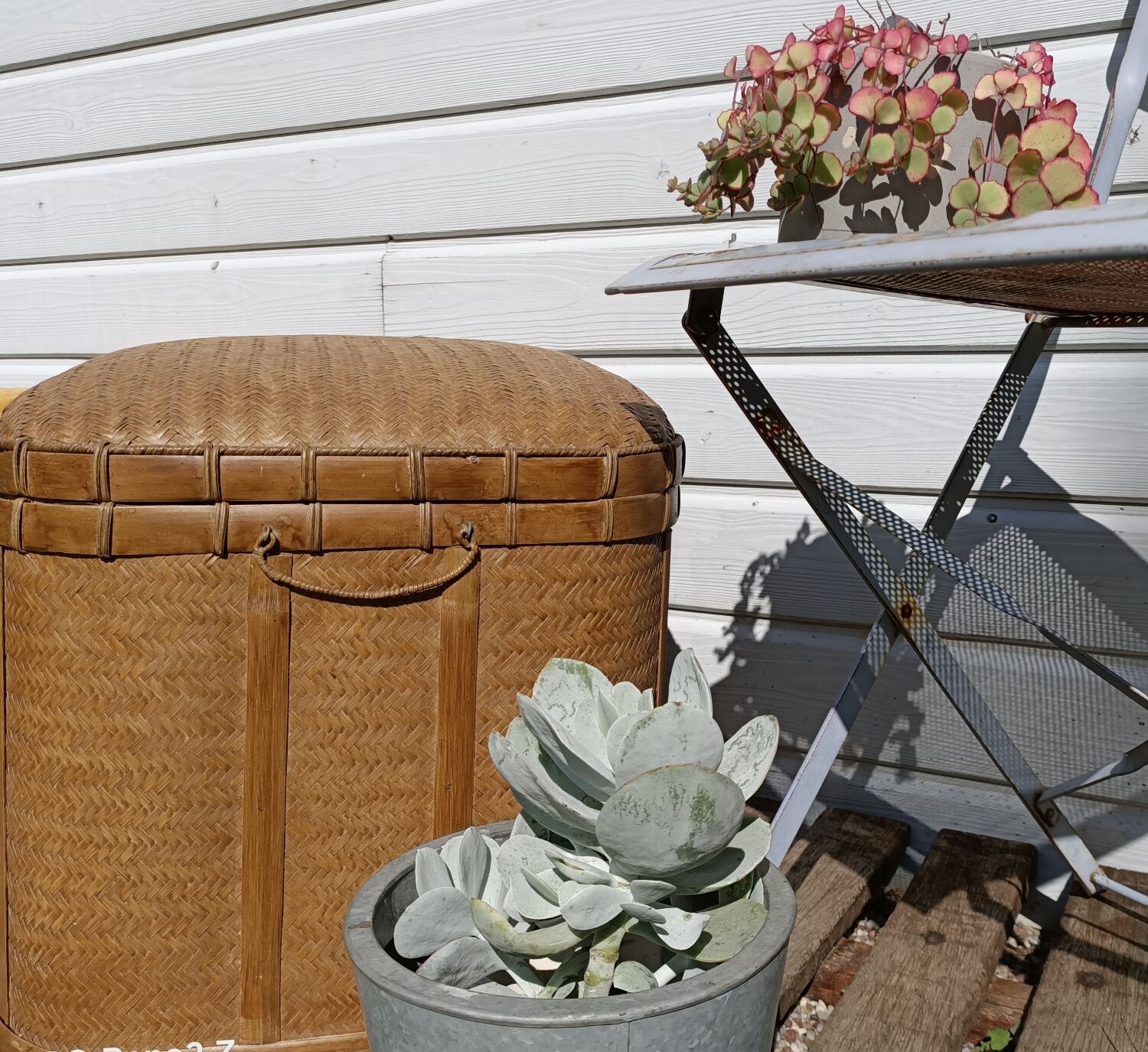 Old trunk rice straw