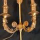 Paire d'appliques en bronze doré style empire.