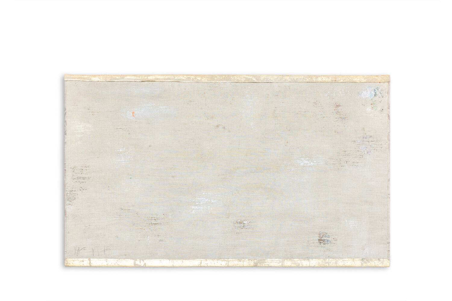 Painted canvas depicting toucans. Contemporary work.