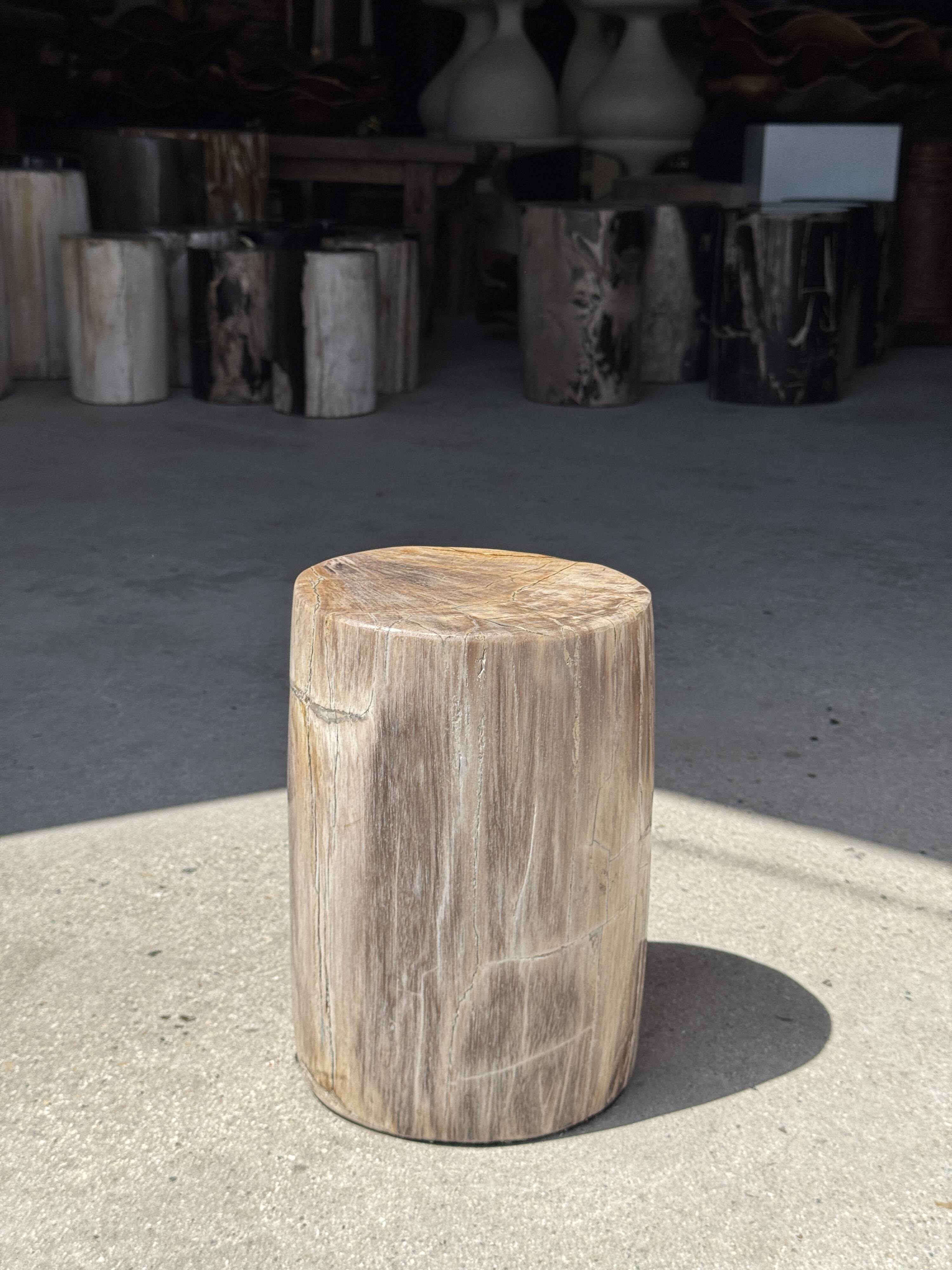 Petite table d'appoint en bois pétrifié beige gris H28 D18 - 3325