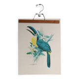 Vintage Exotic Poster