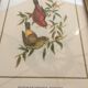 Trio of ornithological boards